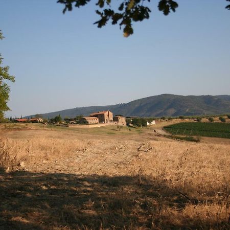 Agriturismo Podere Del Vescovo Montenero d'Orcia Buitenkant foto