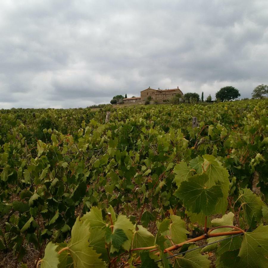 Agriturismo Podere Del Vescovo Montenero d'Orcia Buitenkant foto