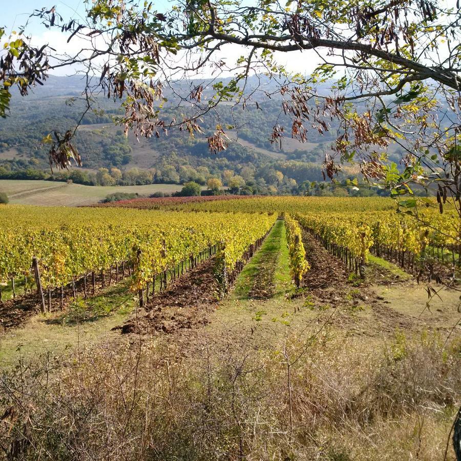 Agriturismo Podere Del Vescovo Montenero d'Orcia Buitenkant foto
