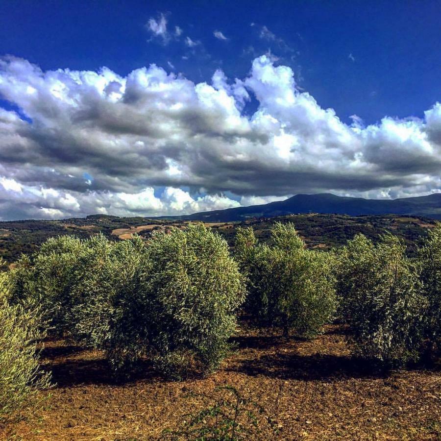 Agriturismo Podere Del Vescovo Montenero d'Orcia Buitenkant foto
